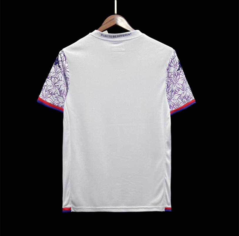 2023-24 Fiorentina Away Jersey