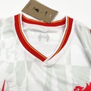 2024-25 Liverpool Third Jersey
