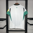 2024-25 Newcastle United Third Jersey