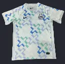 2025-26 Inter Milan Away Jersey